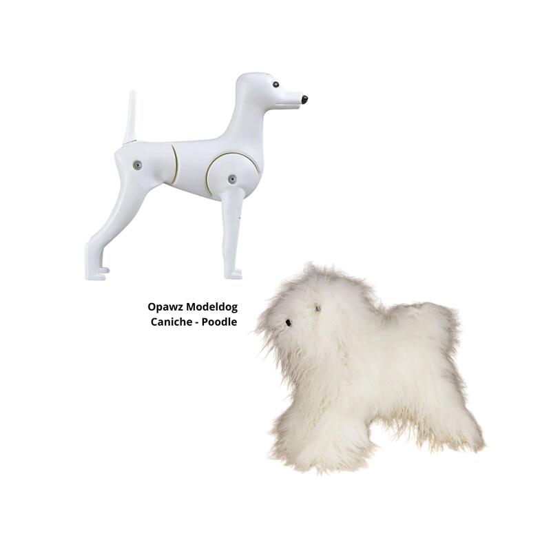 Ensemble Caniche Toy Model dog et Pelisse de poils Blanche  Regulier Opawz 