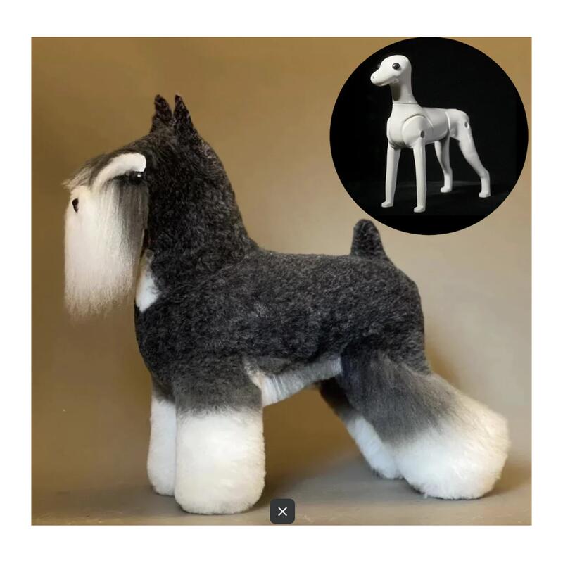 Ensemble Modeldog Schnauzer Opawz 