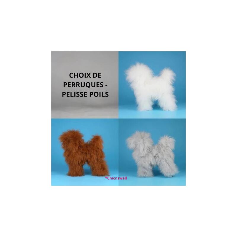 Pelisses de poils Opawz Haute densité pour Caniche pour Modeldog  