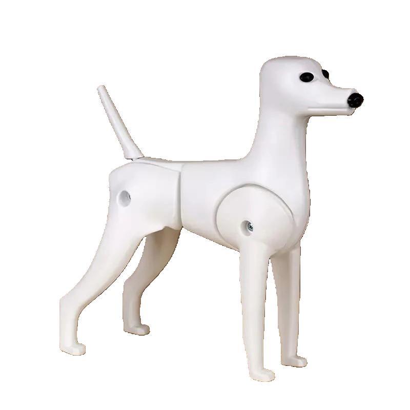 Squelette modeldog Caniche