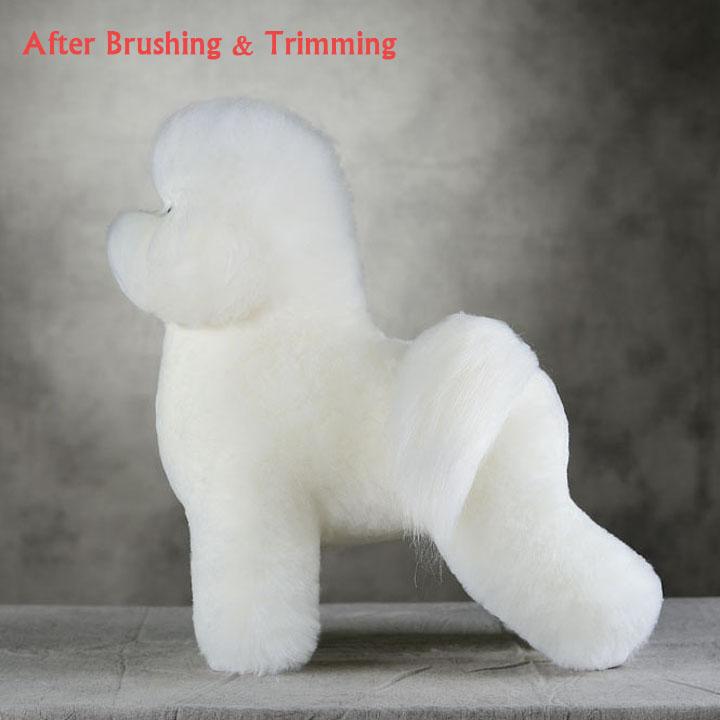 Ensemble Bichon Modeldog et pelisse Blanc Opawz